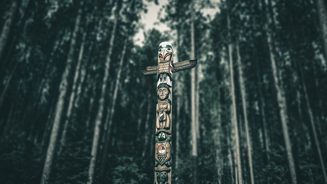 Indigenous Perspectives