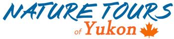 logo-ntoy-V12.jpg