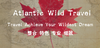 awt.png