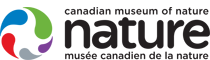 logo_2_.png