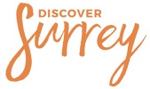 ds_logo_1_.jpg