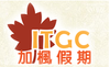 itgc2.png