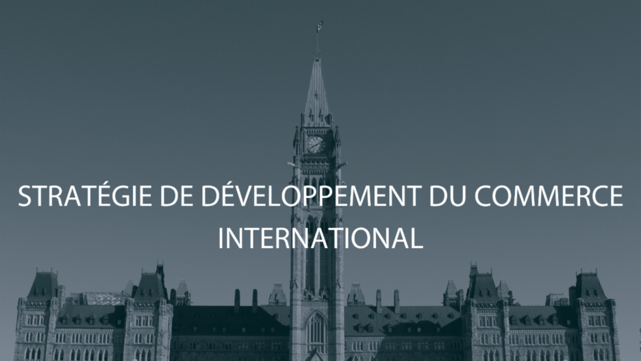 INTERNATIONAL%2bBUSINESS%2bDEVELOPMENT%2bSTRATEGY.fr.png